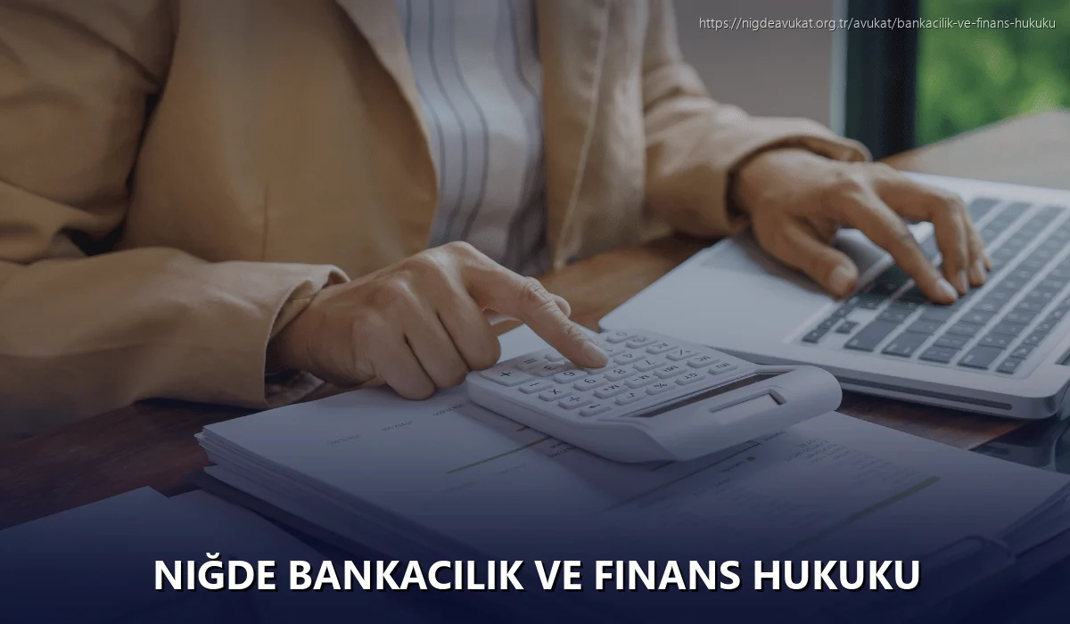 Niğde Bankacılık ve Finans Hukuku